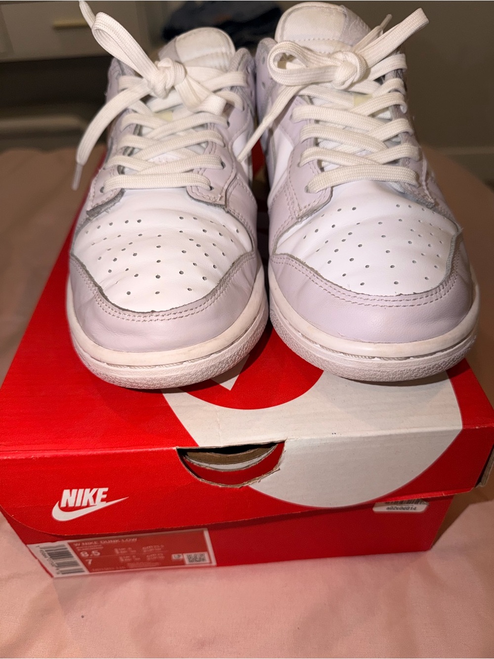 Nike Dunk Low Shoes